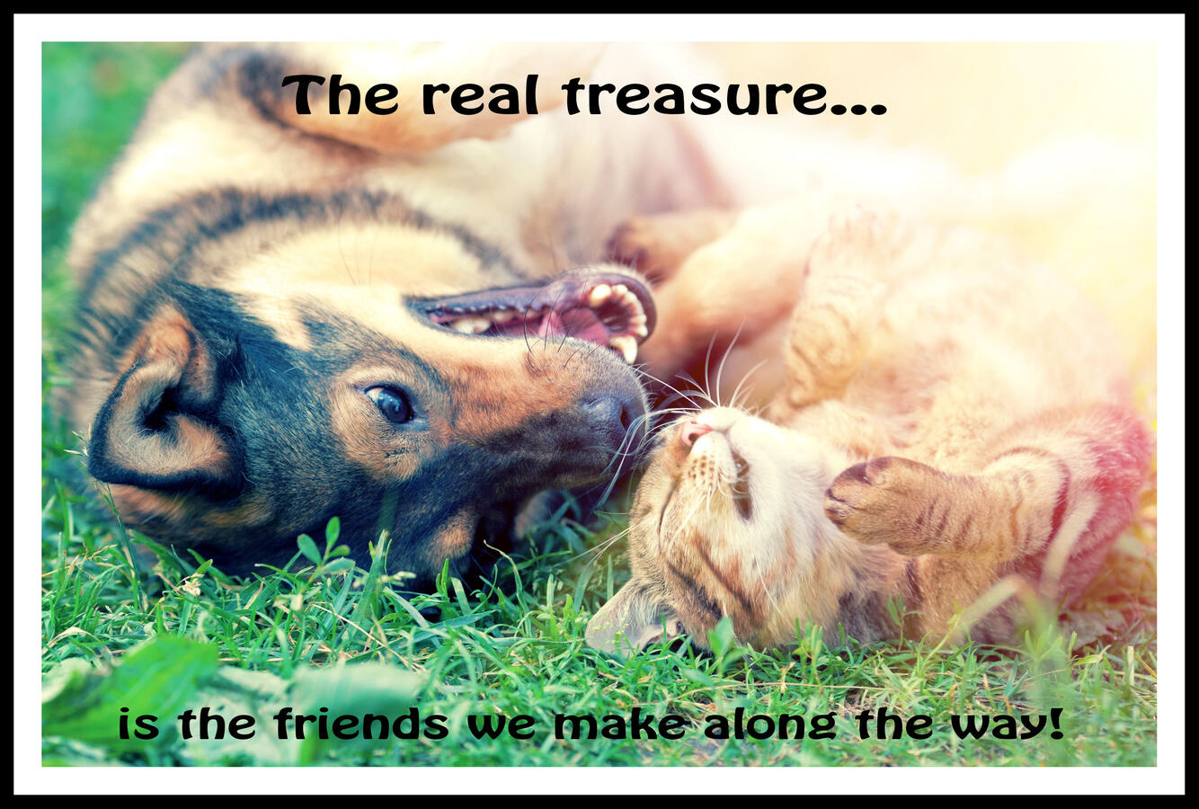 Click image for larger version

Name:	Awww...Barf.jpg
Views:	980
Size:	222.5 KB
ID:	1387