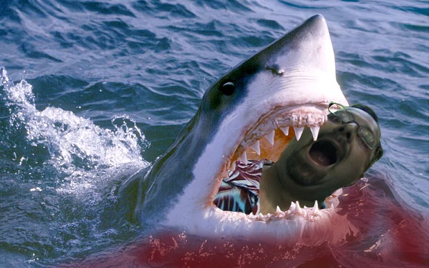 Click image for larger version

Name:	Shark Attack.png
Views:	181
Size:	436.6 KB
ID:	18587