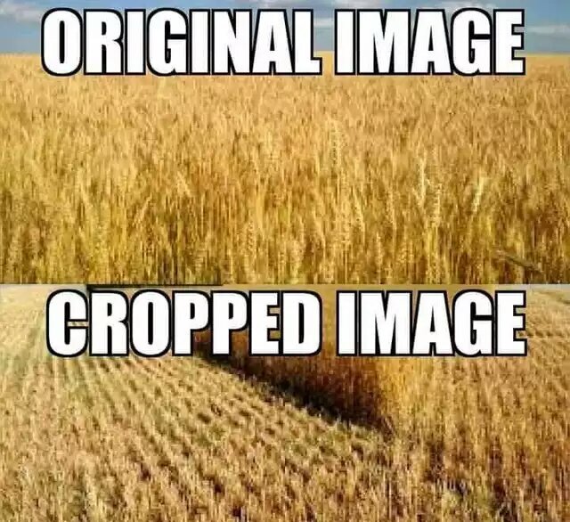 Click image for larger version

Name:	xuOKt0t_d_kindlephoto-663733509.jpg
Views:	433
Size:	98.9 KB
ID:	28648