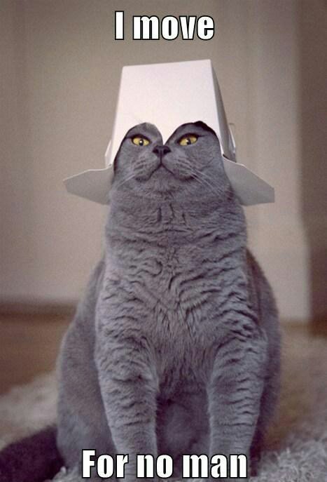 Click image for larger version

Name:	funny-cat-pictures-i-move-for-no-man[1]_kindlephoto-353354474.jpg
Views:	263
Size:	42.4 KB
ID:	57730