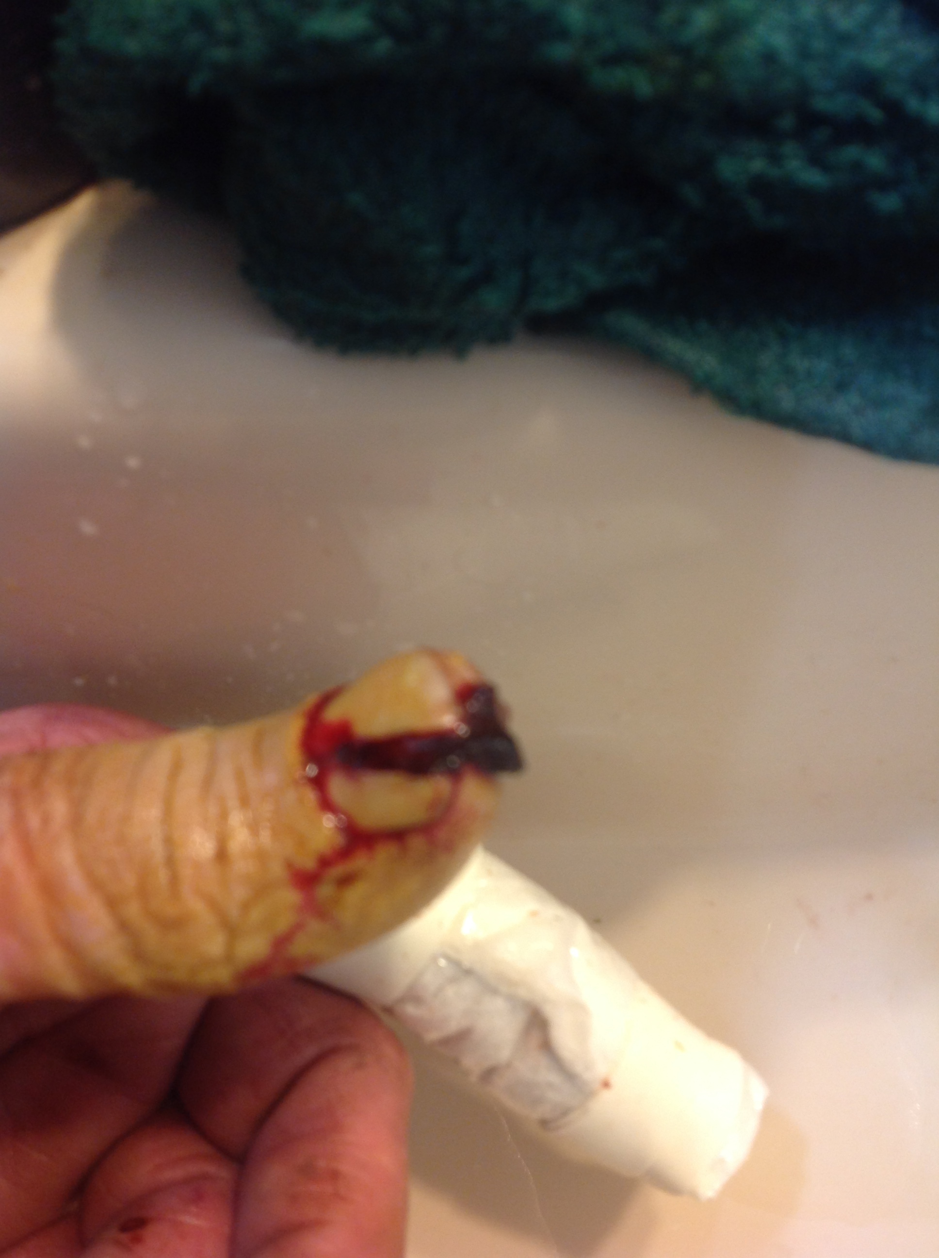 Click image for larger version

Name:	IMG_1119.JPG
Views:	446
Size:	789.2 KB
ID:	68177