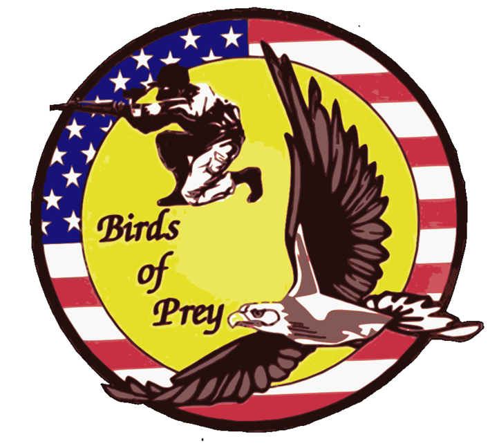 Click image for larger version

Name:	BirdsOfPrey3.png
Views:	285
Size:	277.8 KB
ID:	201418
