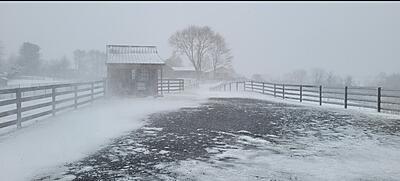 Click image for larger version

Name:	snowpath.jpg
Views:	390
Size:	105.9 KB
ID:	260909