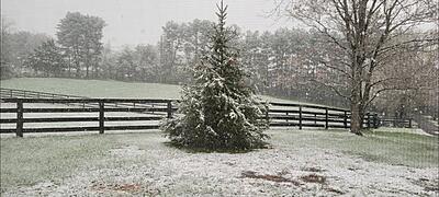 Click image for larger version

Name:	snowpath2.jpg
Views:	299
Size:	1.91 MB
ID:	260910
