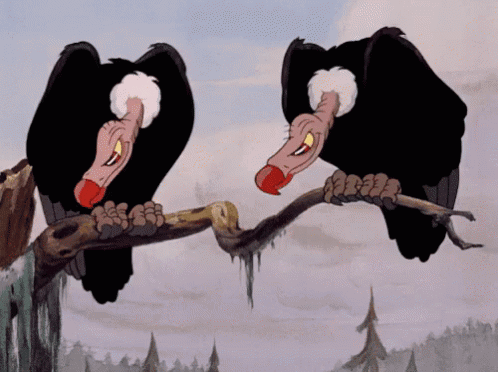 Click image for larger version

Name:	vulture-looking.gif
Views:	293
Size:	2.08 MB
ID:	321981