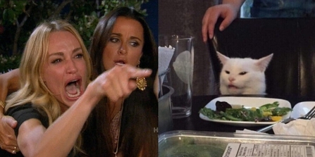 Click image for larger version  Name:	WomanYellingAtACat_meme.jpg Views:	0 Size:	75.7 KB ID:	367234