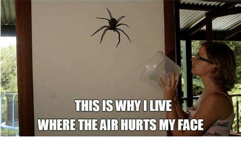Click image for larger version

Name:	IMG_1728.jpg
Views:	157
Size:	21.5 KB
ID:	490375