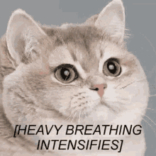 Click image for larger version

Name:	heavy-breathing-intensifies.gif
Views:	307
Size:	54.9 KB
ID:	588681
