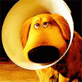Click image for larger version

Name:	IMG_3151.gif
Views:	178
Size:	605.6 KB
ID:	699368