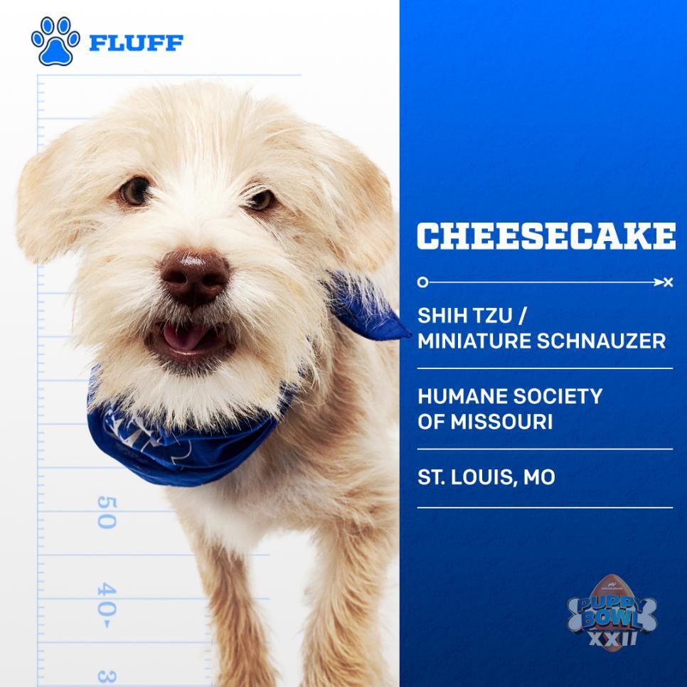 Click image for larger version  Name:	Cheesecake.jpg Views:	2 Size:	97.5 KB ID:	790472