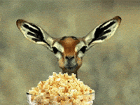 Click image for larger version

Name:	IMG_9226.gif
Views:	258
Size:	252.6 KB
ID:	837173