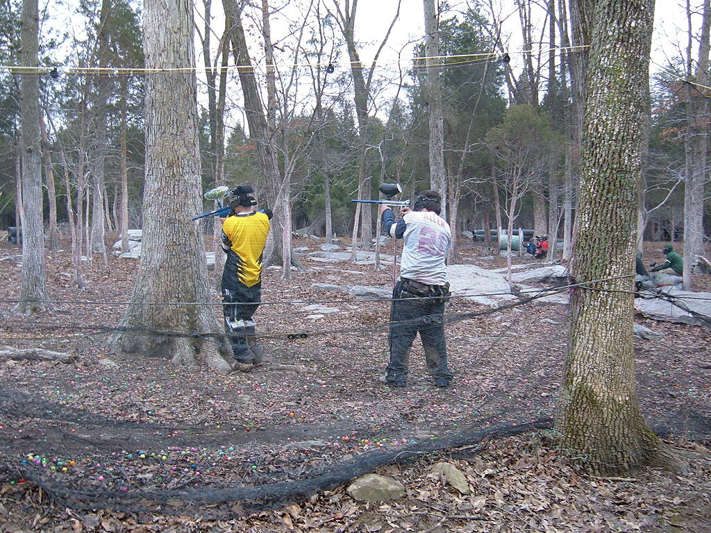 Click image for larger version

Name:	DSCF0018.jpg
Views:	141
Size:	1.05 MB
ID:	852896