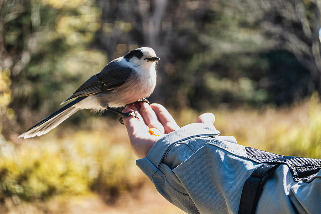 Click image for larger version

Name:	DSC07109-2.jpg
Views:	102
Size:	847.5 KB
ID:	892660