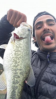 My ugly mug. And the only large mouth I have ever caught. Trolling 40 feet feet at 3mph on a tribute spinner haha.