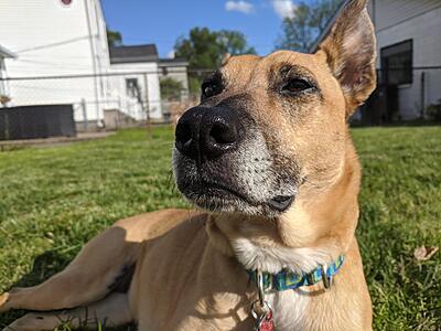 Relaxing in the yard.